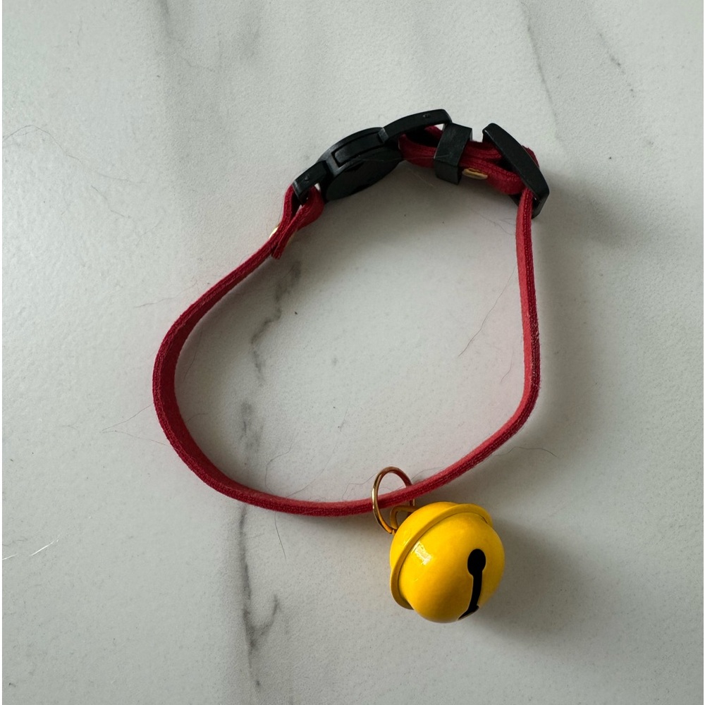 Small pet collar